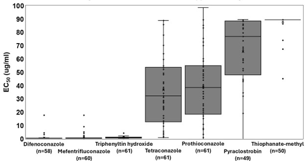 A box plot showing the effectiveness of fungicides on Alternaria